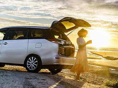 Spaceships Dream Sleeper Mini Stealth image 2420