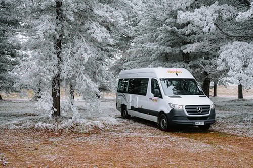 Apollo Euro Plus image 2420