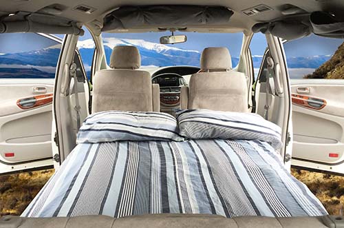 Lucky Rodeo image 2420