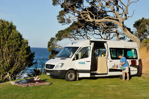 <img src='/images/alt/2btsm_alt2.jpg' /> Maui Ultima image 275