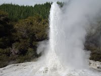 Lady Knox Geyser